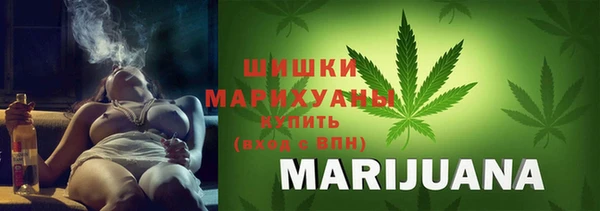ECSTASY Костерёво