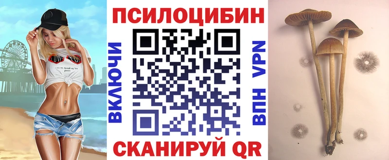 Галлюциногенные грибы MAGIC MUSHROOMS  Купить  Красноперекопск 